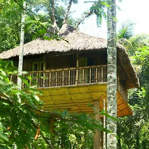 Kalidasa Tree House And Villa, Wayanad , Chegāt Inde